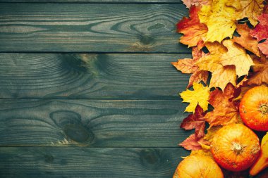 Sonbahar yaprakları ve balkabakları 