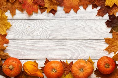 Sonbahar yaprakları ve balkabakları 