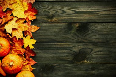 Sonbahar yaprakları ve balkabakları 