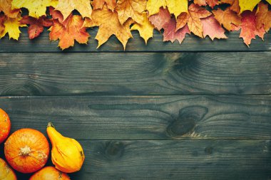 Sonbahar yaprakları ve balkabakları 