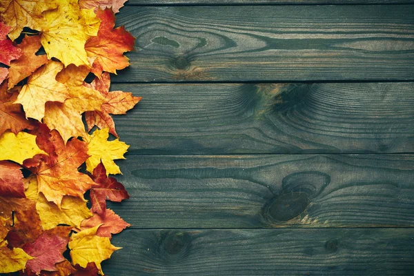 Háttér őszi levelekkel — Stock Fotó