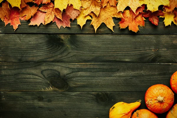 Autumn leaves and pumpkins — Stock Photo, Image