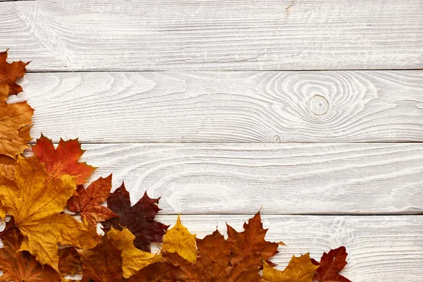 Achtergrond met herfstbladeren — Stockfoto