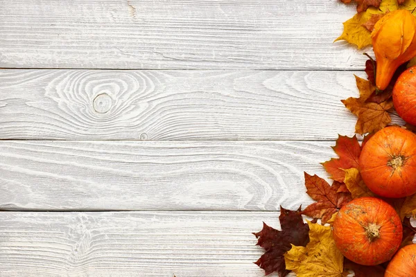Осенние листья и тыквы — стоковое фото