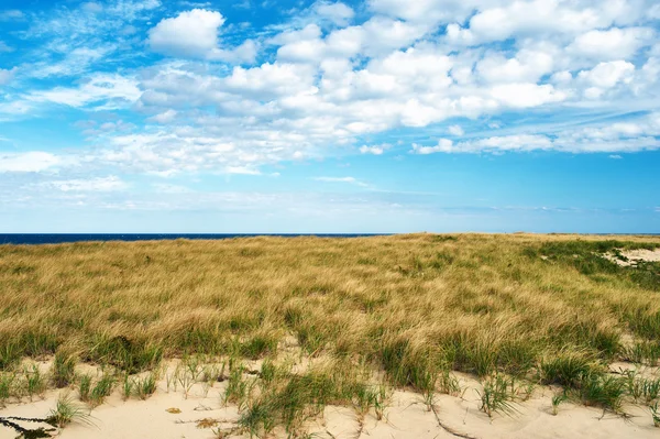 Dunas de areia em Cape Cod — Fotografia de Stock