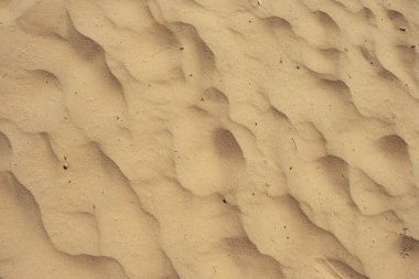 Uyuyan ayı Dunes, Sandy arka plan