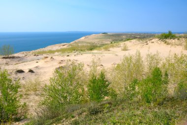 ayı dunes uyku 