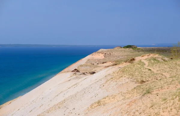 Slapen Beer duinen — Stockfoto