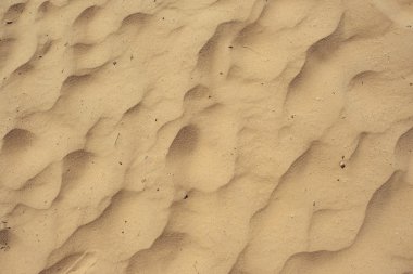 Dunes, Sandy arka plan