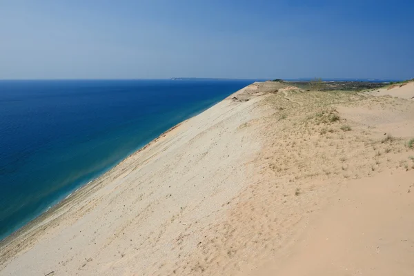 Slapen Beer duinen — Stockfoto