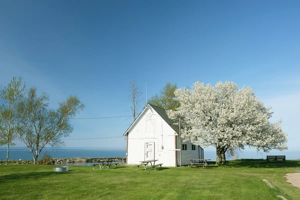 Березі озера в Pointe aux Барк — стокове фото