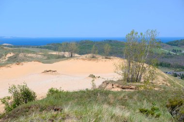 Uyuyan ayı Dunes Lakeshore