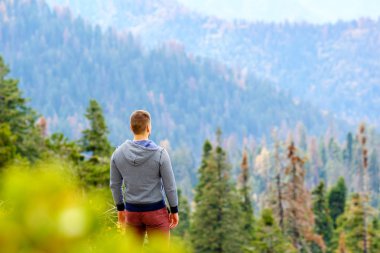 Sırt çantalı bir turist Sequoia Ulusal Parkı 'nda yürüyüş yapıyor.