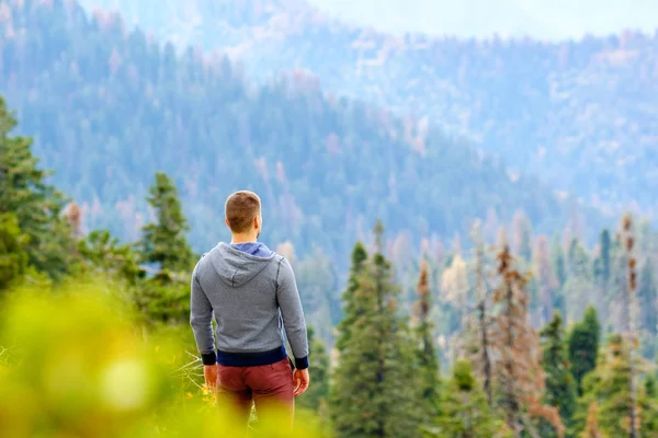 Sırt çantalı bir turist Sequoia Ulusal Parkı 'nda yürüyüş yapıyor.