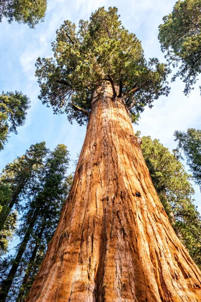 Parque Nacional Sequoia en otoño — Foto de Stock