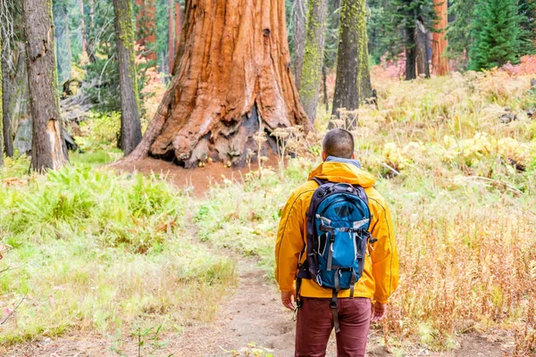 Turistika s batohem turistika v Národním parku Sequoia — Stock fotografie