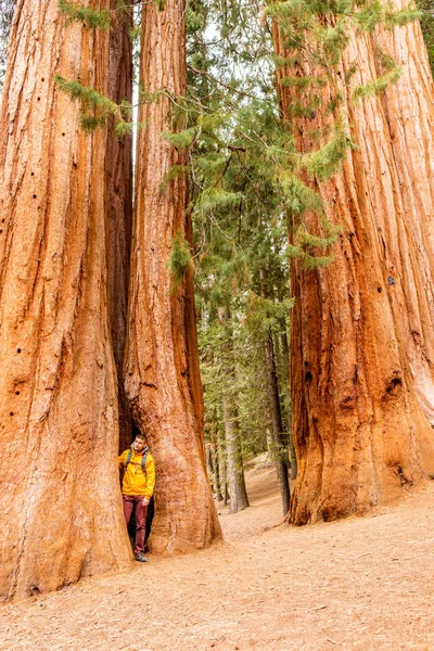 Turysta z plecakiem wędrówki w Parku Narodowym Sequoia — Zdjęcie stockowe