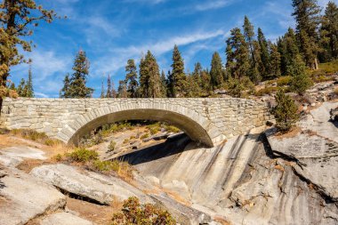 Sequoia National Park sonbahar