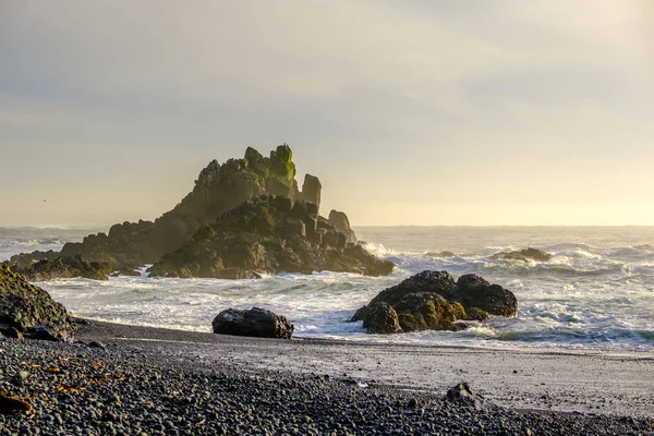 Spojené státy americké tichomořské pobřeží krajina v Oregonu — Stock fotografie