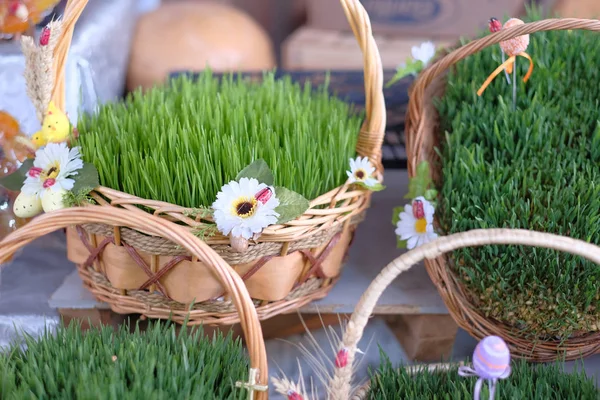 Pasen manden met gras — Stockfoto