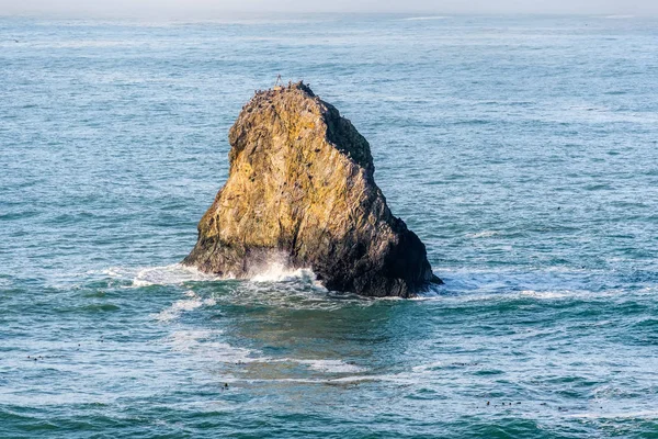 ABD Pacific coast California — Stok fotoğraf