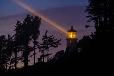 heceta kafa feneri 