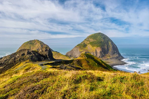 Pacific coast landscape — Stock Photo, Image