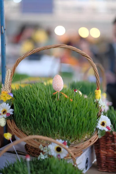 Pasen manden met gras — Stockfoto