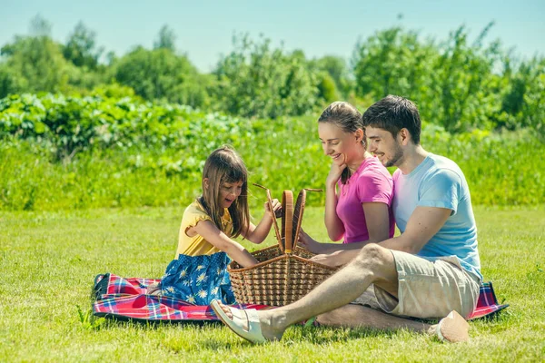 Família com cesta em piquenique — Fotografia de Stock