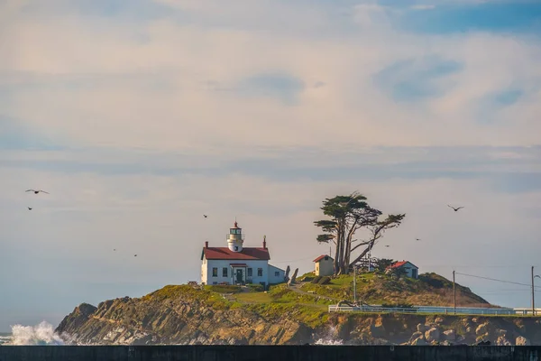 灯台は、海の近くの岩の上に配置 — ストック写真