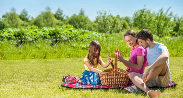 Familie met mandje op picknick — Stockfoto