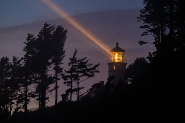 Heceta kafa feneri gece adlı