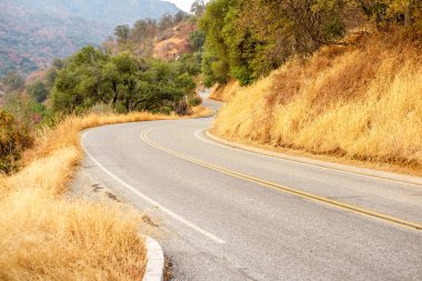çarpık sequoia national park yolu