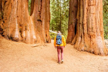 turist hiking sırt çantası ile