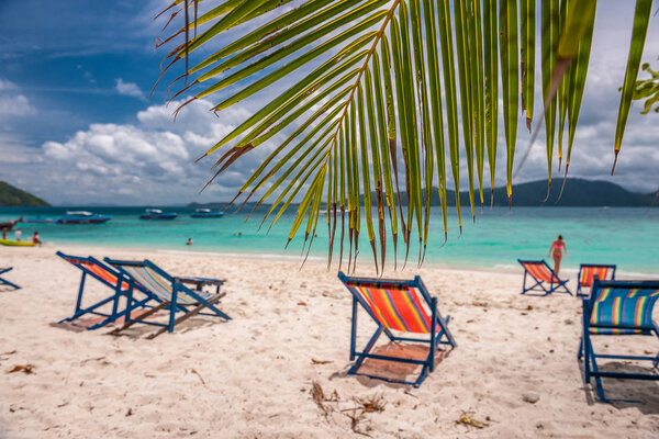 пальмы и шезлонги на пляже
