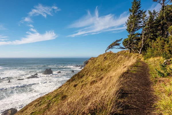 Beautiful view of Pacific coast landscape — Stock Photo, Image