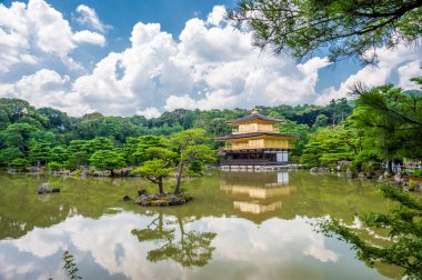 Kinkaku-ji Tapınağı: Kyoto, Japan