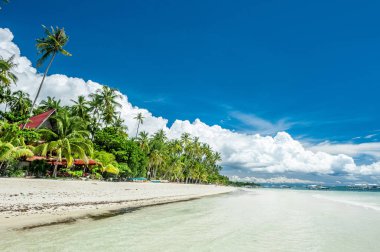 Palmiyeli tropik plaj 