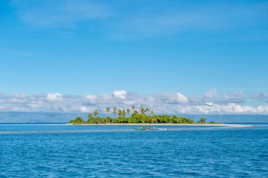 Tropikal Adası'nda Türkiye