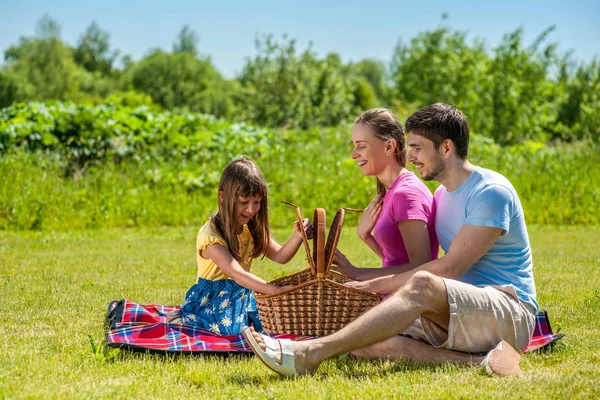 Família em piquenique no verão Fotografia De Stock