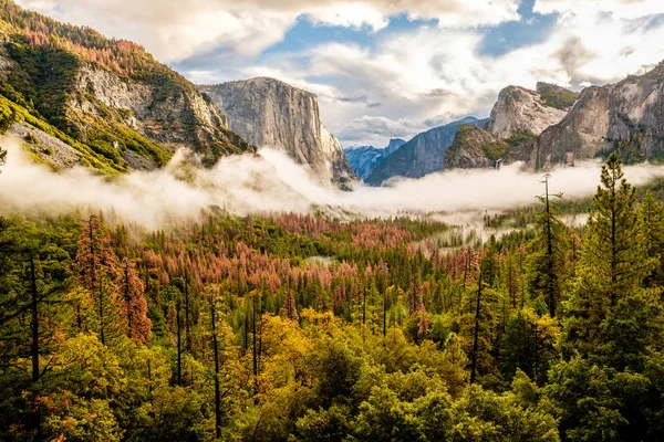 Vale de Yosemite na manhã nublada — Fotografia de Stock