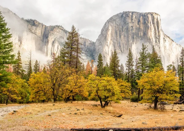 Yosemite dolina rano pochmurno — Zdjęcie stockowe