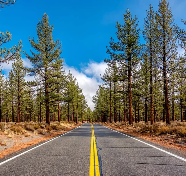 Open snelweg in Californië — Stockfoto