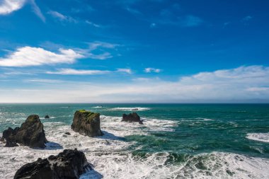 Pacific coast landscape clipart