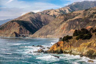 Pasifik Sahil peyzaj