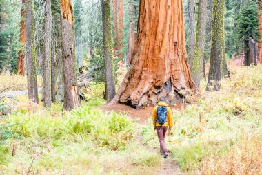 turist hiking sırt çantası ile
