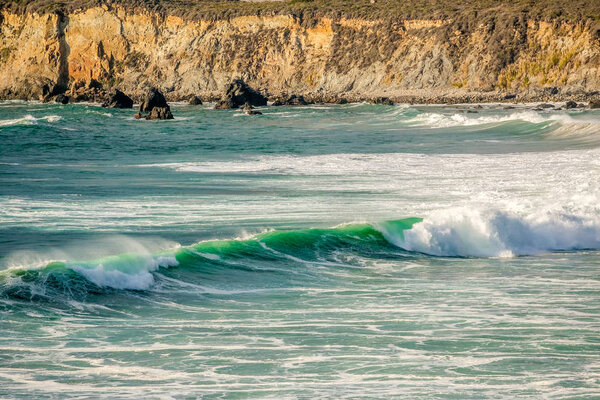 Pacific coast landscape