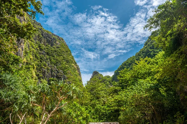 Beautiful tropical nature — Stock Photo, Image