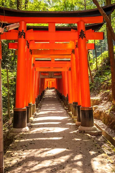 Drewnianych bram Torii w pobliżu Kyoto — Zdjęcie stockowe