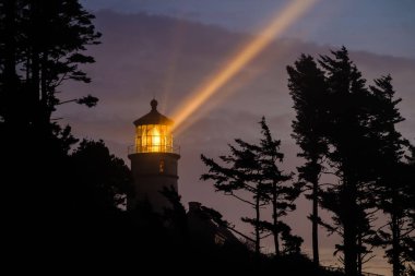 heceta kafa feneri  